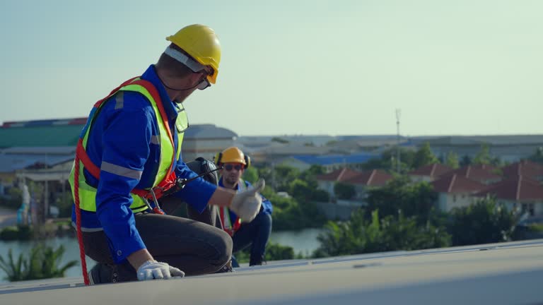 Best Roof Moss and Algae Removal  in Hideaway, TX
